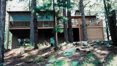 12821 N Upper Loma Linda Rd, Mount Lemmon, AZ 85619 photo 1
