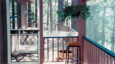 12821 N Upper Loma Linda Rd, Mount Lemmon, AZ 85619 photo 4