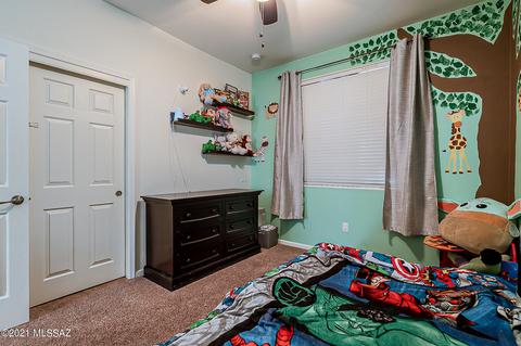 11454 E Desert Raptor Loop, Tucson, AZ 85747 photo 24