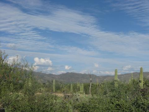 12475 E Broadway, Tucson, AZ 85748 photo 6