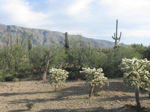 12475 E Broadway, Tucson, AZ 85748 photo 9