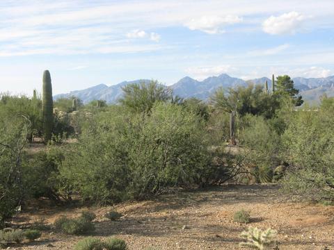 12475 E Broadway, Tucson, AZ 85748 photo 2