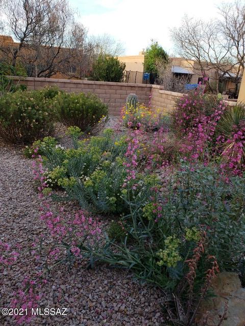 10559 E Marchetti Loop, Tucson, AZ 85747 photo 36