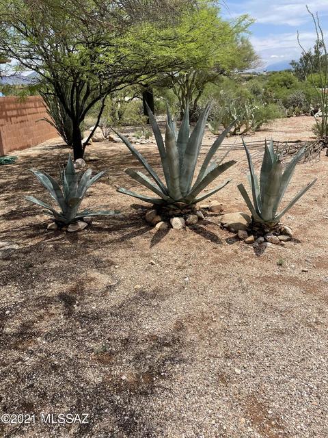 5471 E Craycroft Cir, Tucson, AZ 85718 photo 31