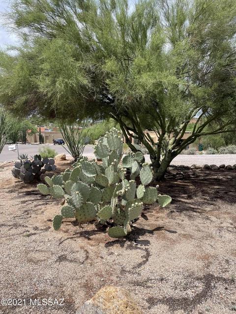 5471 E Craycroft Cir, Tucson, AZ 85718 photo 30