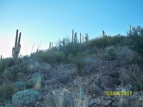 15480 E Colossal Cave Rd, Vail, AZ 85641 photo 4
