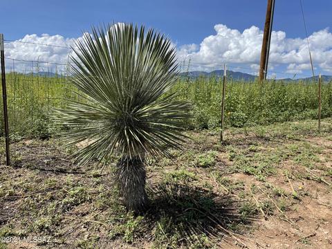 722 E Rising St #-, Pearce, AZ 85625 photo 37