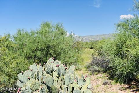 14549 E Circle L Ranch Pl, Vail, AZ 85641 photo 4