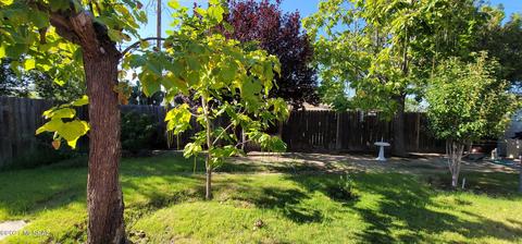 1008 W Granada St, Willcox, AZ 85643 photo 17