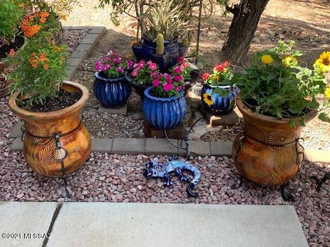 10096 E Paseo De Mejia, Tucson, AZ 85747 photo 4