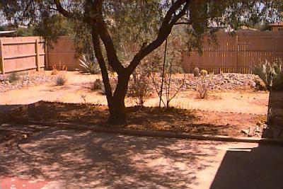 2913 E 19th St, Tucson, AZ 85716 photo 3