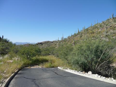 7100 Eagle Point Dr, Tucson, AZ 85750 photo 6