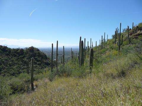 7100 Eagle Point Dr, Tucson, AZ 85750 photo 3