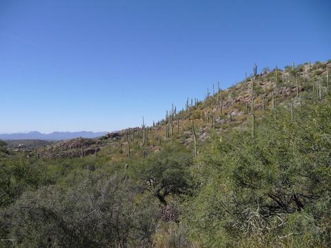 7100 Eagle Point Dr, Tucson, AZ 85750 photo 5