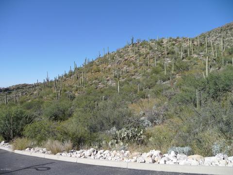 7100 Eagle Point Dr, Tucson, AZ 85750 photo 9