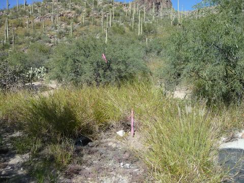 7100 Eagle Point Dr, Tucson, AZ 85750 photo 8