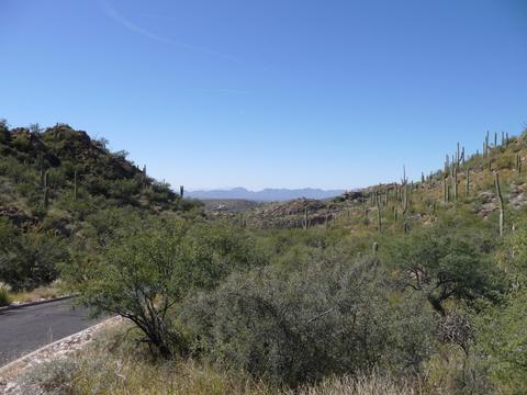 7100 Eagle Point Dr, Tucson, AZ 85750 photo 7