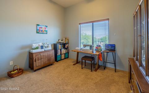 13796 E Corte La Pata, Vail, AZ 85641 photo 39