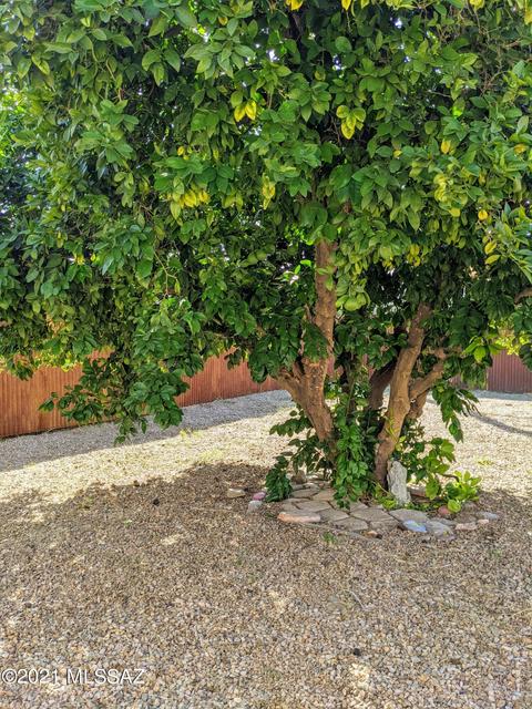 7926 E Beverly St, Tucson, AZ 85710 photo 33