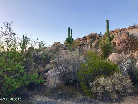 1429 W Tortolita Mountain Cir, Oro Valley, AZ 85755