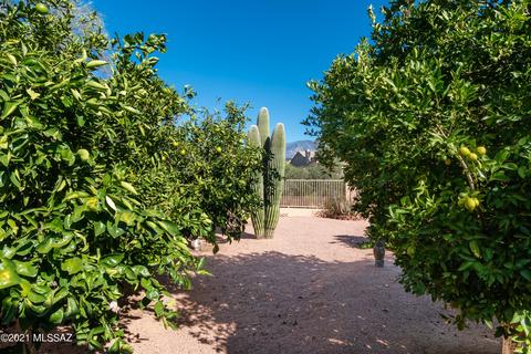 12946 N Eagleview Dr, Oro Valley, AZ 85755 photo 43