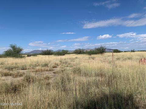 1209 S Taylor Rd, Willcox, AZ 85643 photo 24