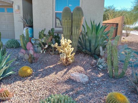 11475 E Squash Blossom Loop, Tucson, AZ 85747 photo 14
