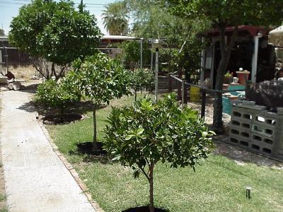 4120 E 26th, Tucson, AZ 85711 photo 2