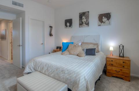 818 E Millenium Ct, Tucson, AZ 85719 photo 27