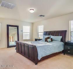 7046 S Beavertail Ln, Tucson, AZ 85756 photo 24