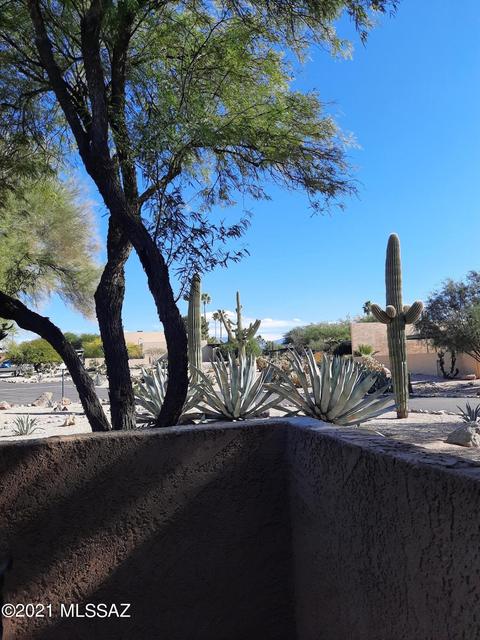 6965 E Rivercrest Rd, Tucson, AZ 85750 photo 17
