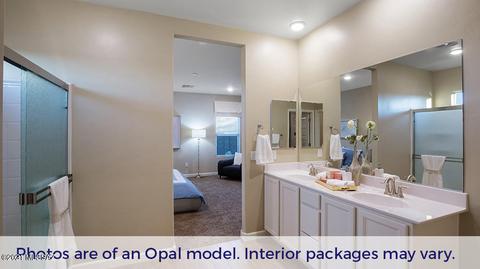 399 W Weldon St, Vail, AZ 85641 photo 23