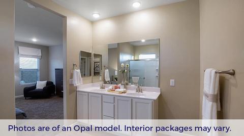 399 W Weldon St, Vail, AZ 85641 photo 22