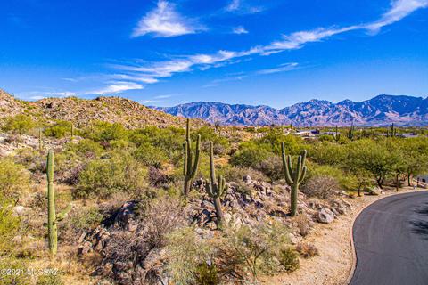 14462 N Giant Saguaro Pl, Oro Valley, AZ 85755