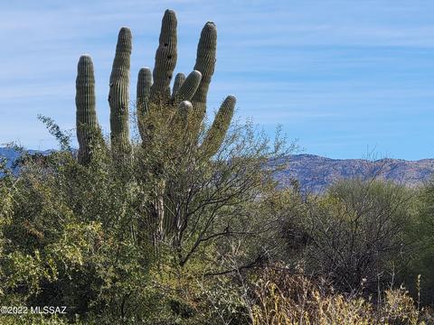 10057 Eric Allan Pl, Tucson, AZ 85748 photo 34
