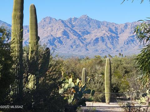 10057 Eric Allan Pl, Tucson, AZ 85748 photo 6