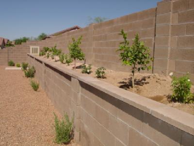 583 E River Walk Dr, Tucson, AZ 85737 photo 5
