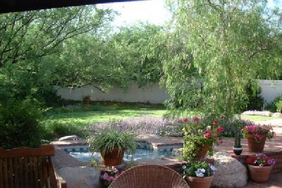 8241 E Cholla Dr, Tucson, AZ 85750 photo 4