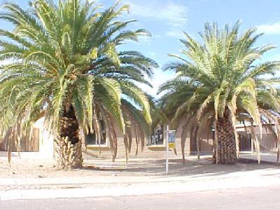 2002 E Alaska St, Tucson, AZ 85706 photo 1