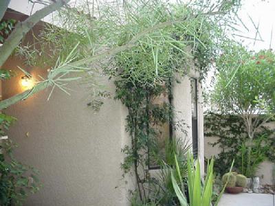 7860 E 35th St, Tucson, AZ 85710 photo 2