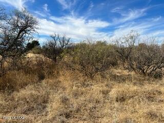 25125 E Tomahawk St, Benson, AZ 85602 photo 7