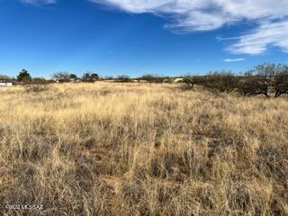 25125 E Tomahawk St, Benson, AZ 85602 photo 9