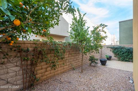175 E Castlefield Cir, Tucson, AZ 85704 photo 44