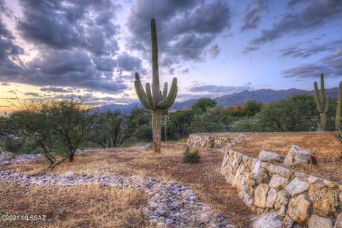 3981 N Jimsonweed Dr, Tucson, AZ 85749 photo 33