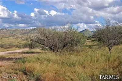 lot2 Tanglehead Ln, Patagonia, AZ 85624