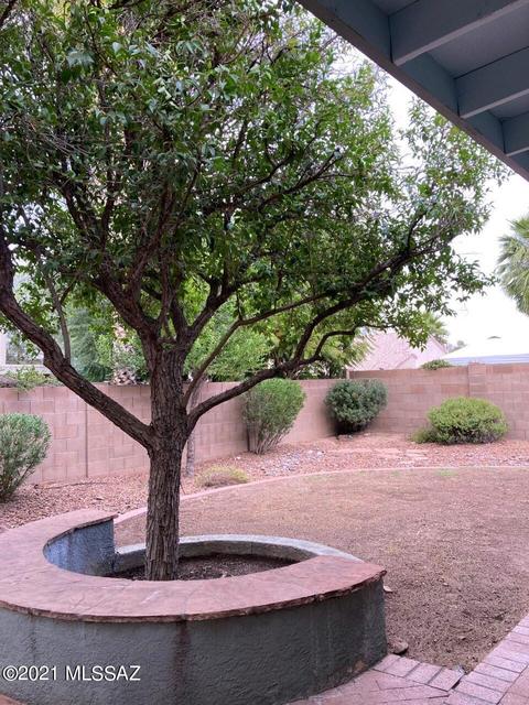 9105 E Lost Tree Dr, Tucson, AZ 85715 photo 3