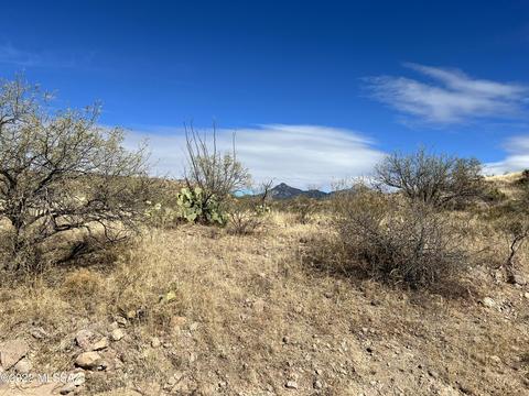 Tbd Camino Josefina, Rio Rico, AZ 85648