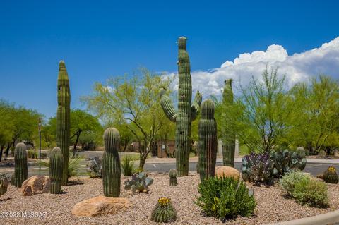 6038 S Cedar Elm Ln, Tucson, AZ 85747 photo 20