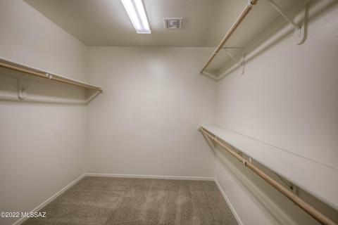 12534 E Red Canyon Pl, Vail, AZ 85641 photo 36