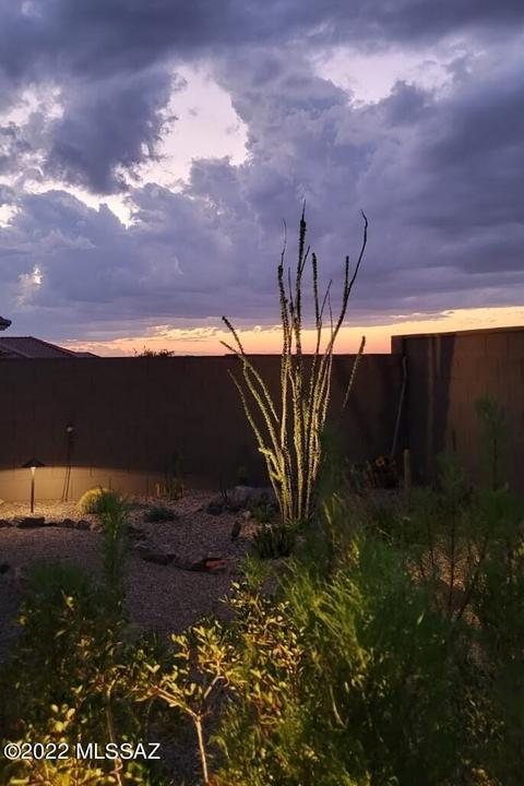 14263 E Vardo Dr, Vail, AZ 85641 photo 48